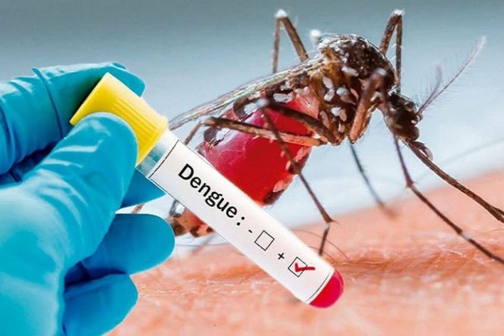 Dengue testing lab call 8147282686